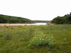 156 BELLE ILE EN MER BANGOR_000039